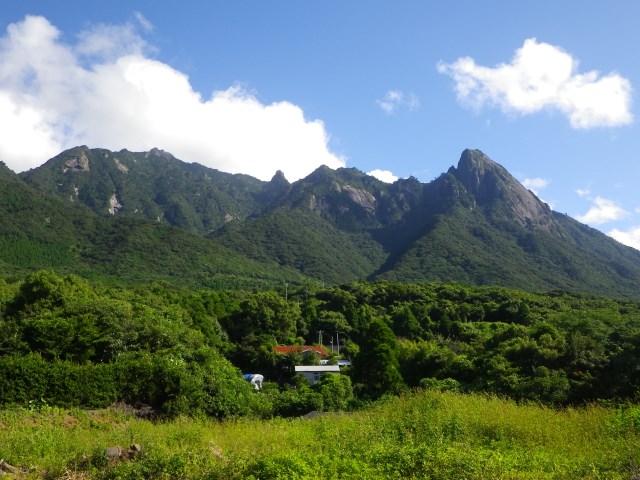 Japan Nansei-shoto (SW Islands): Yaku-shima, Mt. Mocchomudake, Mt. Mocchomudake, Walkopedia