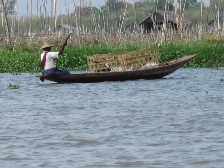 Myanmar, Inle Lake, Inle Lake Area, Walkopedia