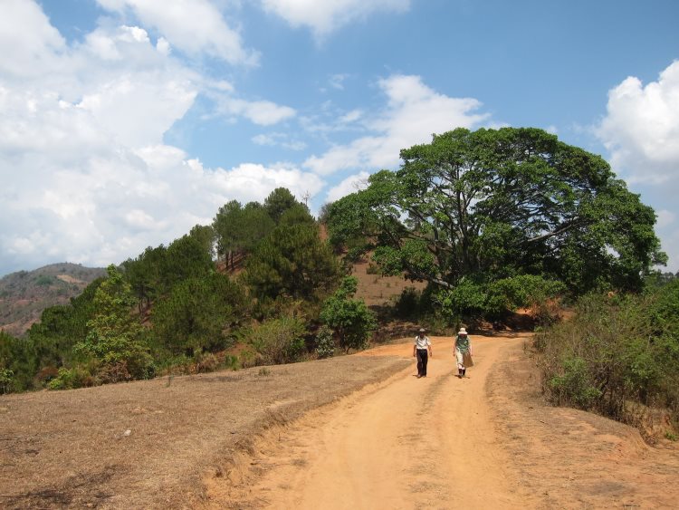 Myanmar, Kalaw-Inle Area, Kalaw Area, Walkopedia