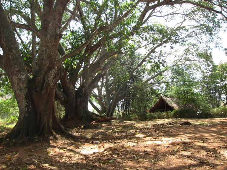 Myanmar, Kalaw-Inle Area, Kalaw Area, Walkopedia