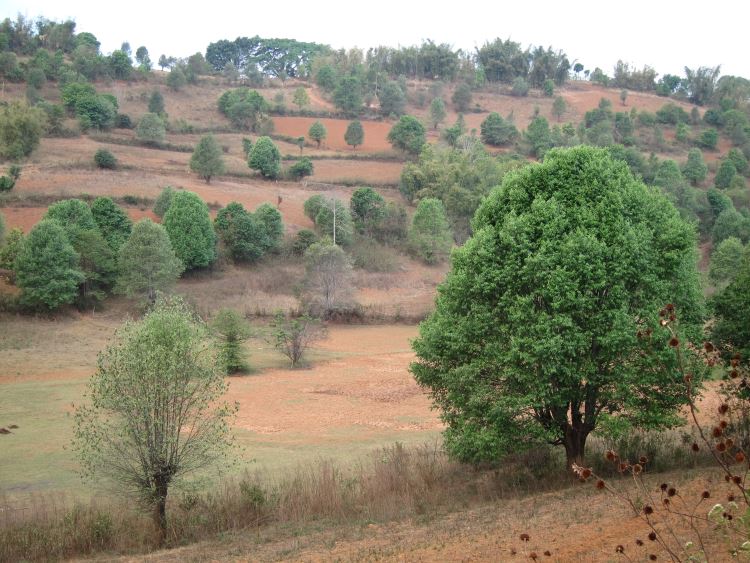 Myanmar, Kalaw-Inle Area, Kalaw Area, Walkopedia