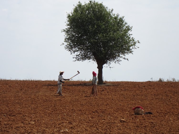 Myanmar, Kalaw-Inle Area, Kalaw Area, Walkopedia