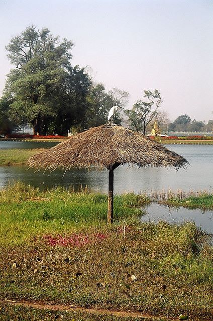 Myanmar, Pyin U Lwin, Pyin U Lwin - Botanical gardens, Walkopedia