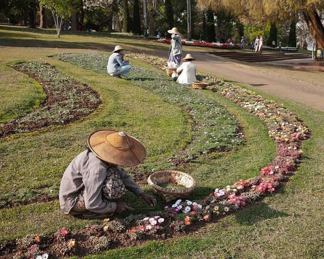 Pyin U Lwin
Pyin U Lwin - Botanic gardens© Copyright Flickr user ninjawil