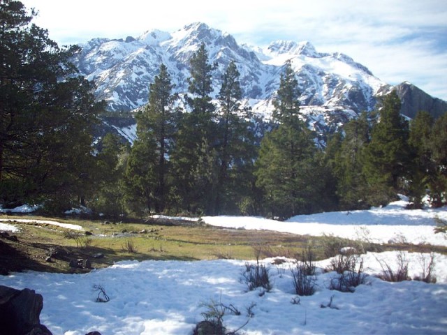 Chile Patagonia: Laguna del Laja NP, Laguna del Laja NP, Laguna del Laja NP, Walkopedia