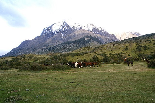 Chile Patagonia: Torres del Paine NP, Torres del Paine Lookout, Torres del Paine Lookout - Campamento Torres, Walkopedia