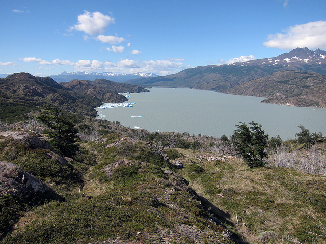 Chile Patagonia: Torres del Paine NP, Lago Pingo, Lago Pingo - Lago Grey, Walkopedia