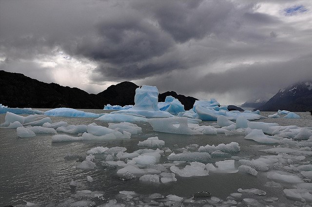 Chile Patagonia: Torres del Paine NP, Lago Pingo, Lago Pingo - Lago Grey, Walkopedia