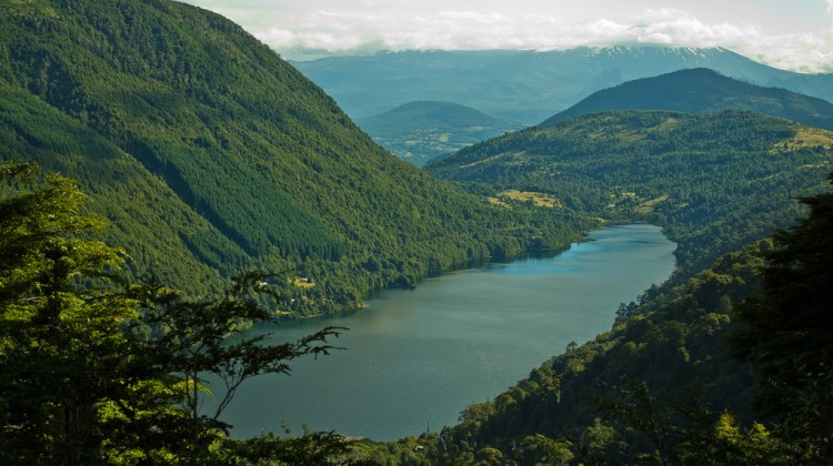 Chile Patagonia: Huerquehue NP, Huerquehue NP, Huerquehue NP - Laguna Tinquilco, Walkopedia