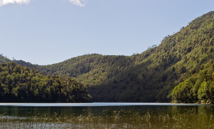 Chile Patagonia: Huerquehue NP, Huerquehue NP, Huerquehue NP - Laguna Verde, Walkopedia