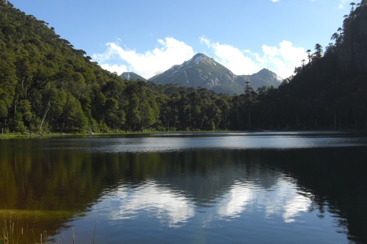 Chile Patagonia: Huerquehue NP, Huerquehue NP, Huerquehue NP - Lake Pequen, Walkopedia