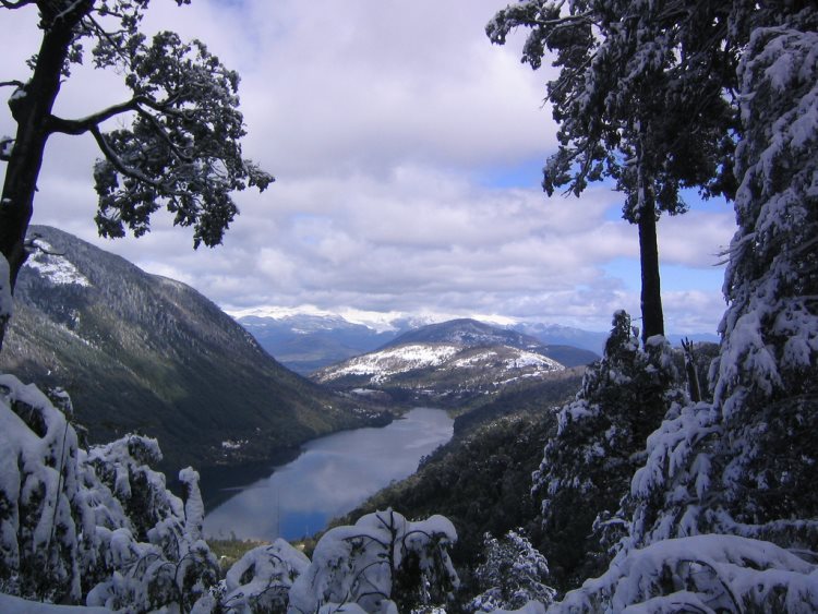 Chile Patagonia: Huerquehue NP, Huerquehue NP, Huerquehue NP, Walkopedia