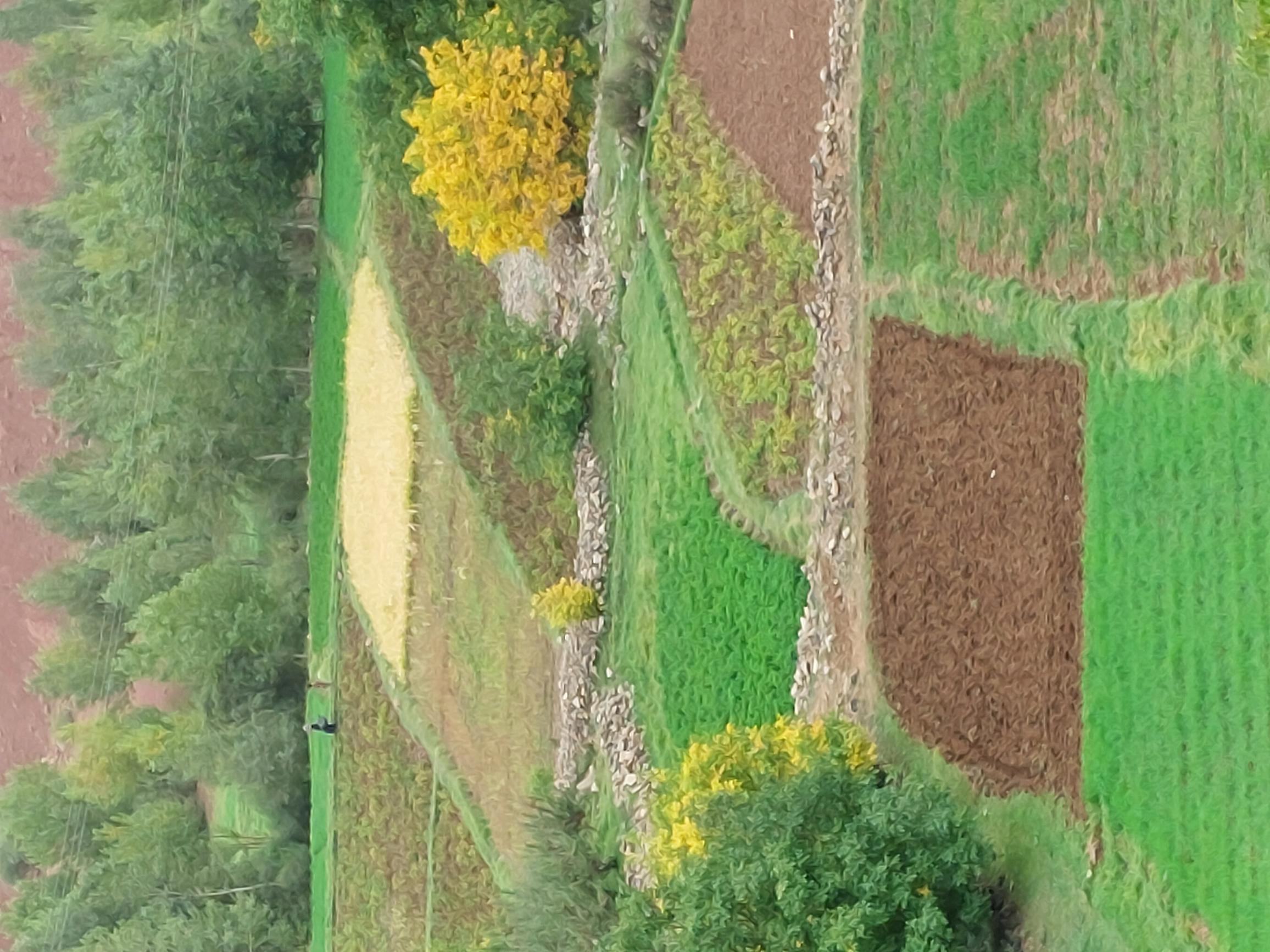 Morocco High Atlas MGoun, M'goun Massif, Tessaout fields, Walkopedia