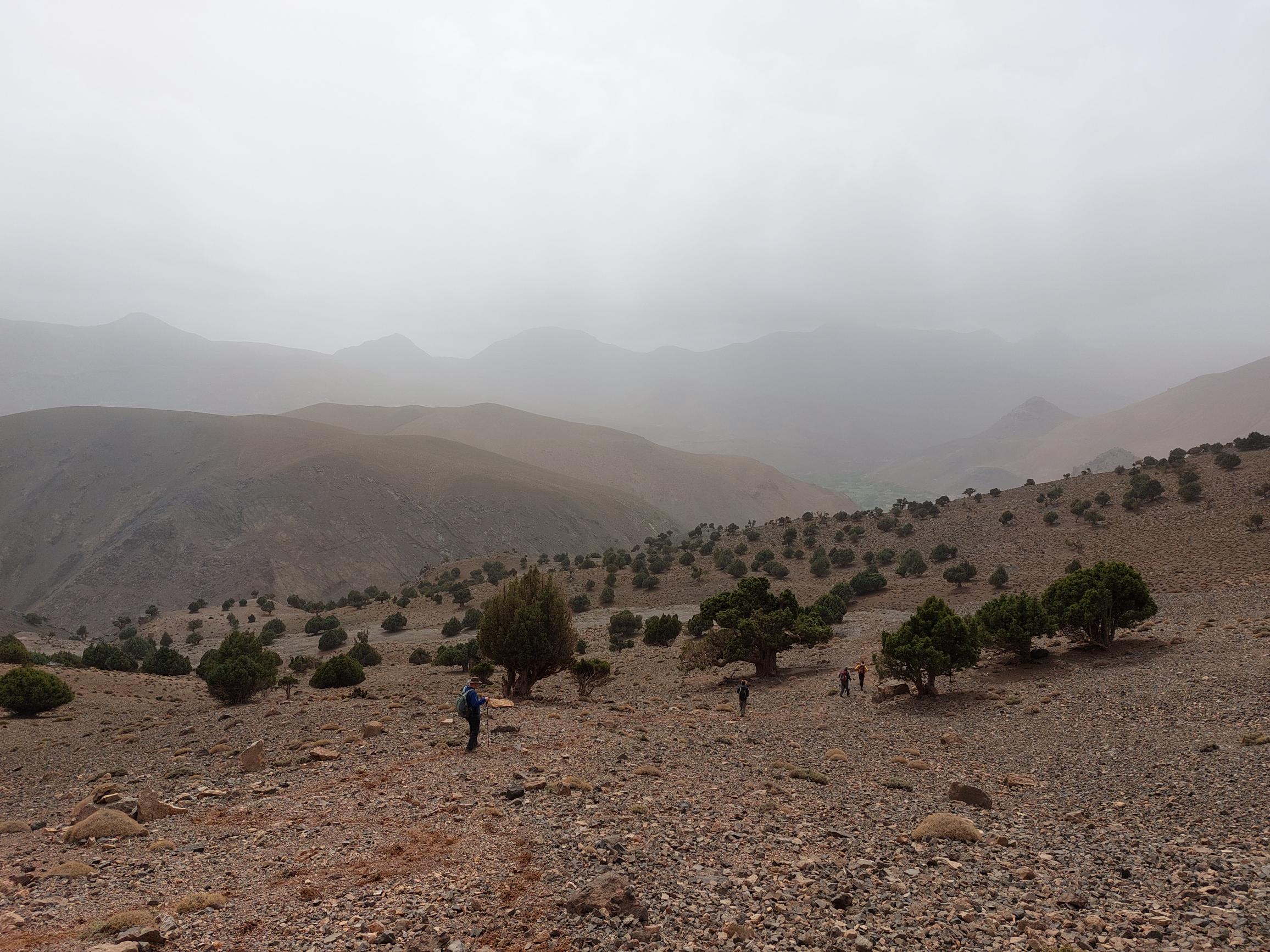 Morocco High Atlas MGoun, M'goun Massif, Traverse Day 4, 9, Walkopedia