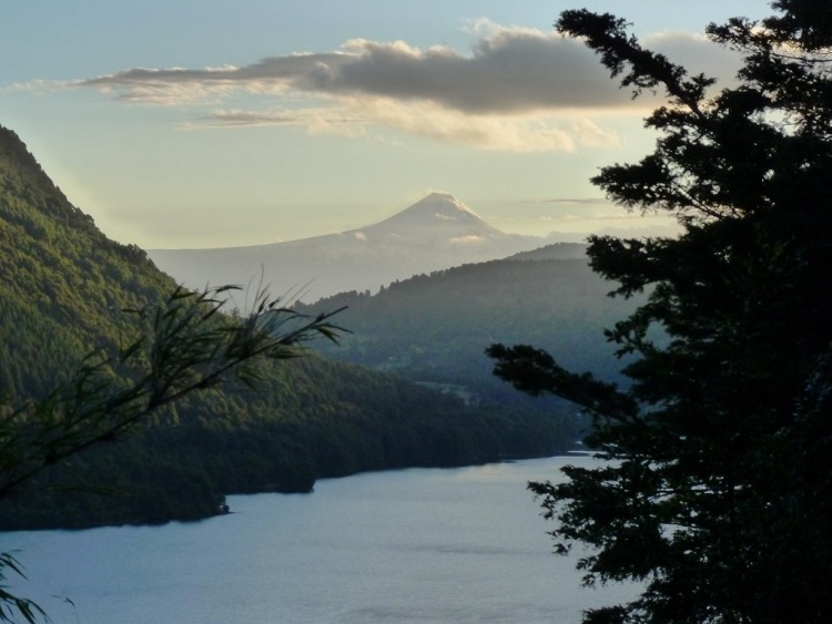 Chile Patagonia: Huerquehue NP, Los Lagos/Huerquehue Plateau, Los Lagos/Huerquehue Plateau - Laguna Tinquilco, Walkopedia