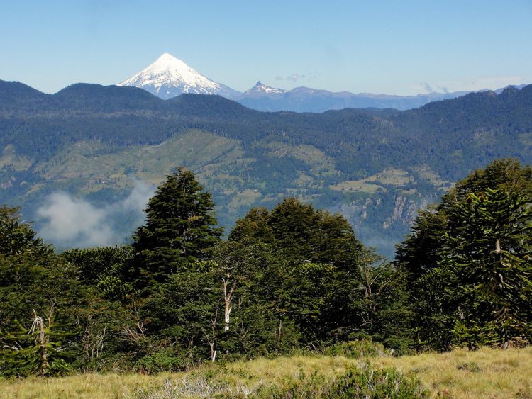 Chile Patagonia: Huerquehue NP, Cerro Quinchol and San Sebastian, Quinchol and Sebastian - Volcano From Quinchol, Walkopedia