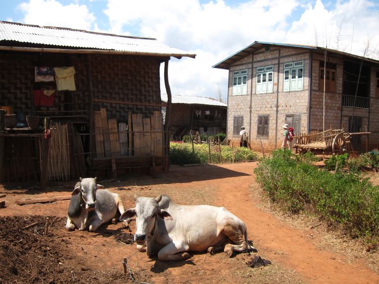 Myanmar, Kalaw to Inle Lake, Kalaw to Inle trek - Shar Pim, almost lunch, Walkopedia