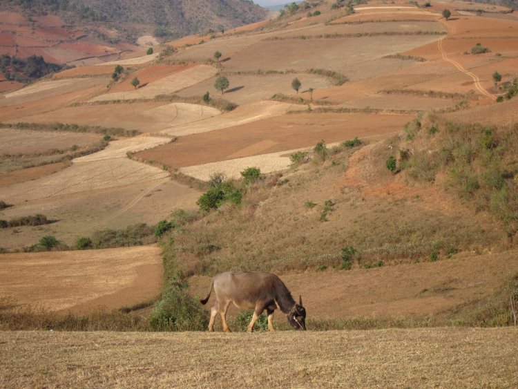 Myanmar, Kalaw to Inle Lake, Kalaw to Inle trek, Walkopedia