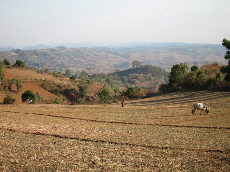 Myanmar, Kalaw to Inle Lake, Kalaw to Inle trek, Walkopedia