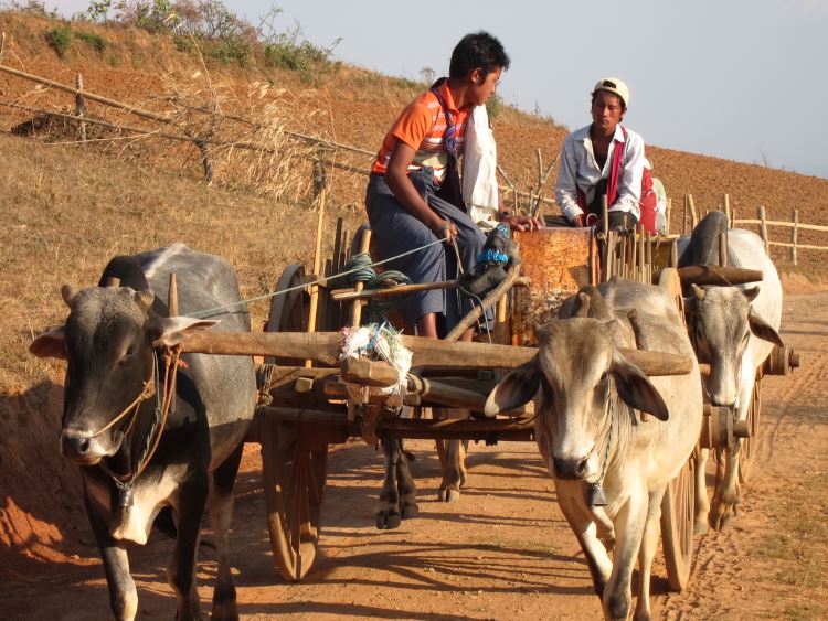 Myanmar, Kalaw to Inle Lake, Kalaw to Inle trek, Walkopedia