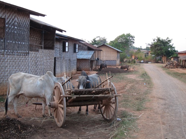 Myanmar, Kalaw to Inle Lake, Kalaw to Inle trek, Walkopedia