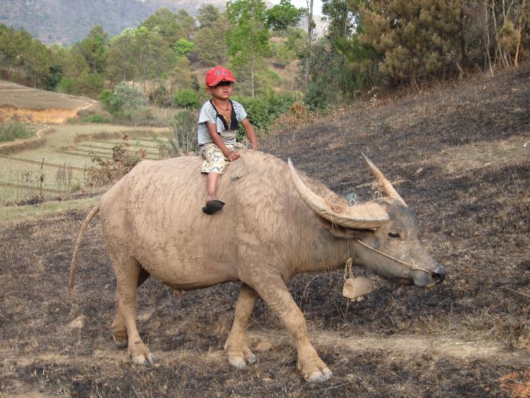 Myanmar, Kalaw to Inle Lake, Kalaw to Inle trek, Walkopedia