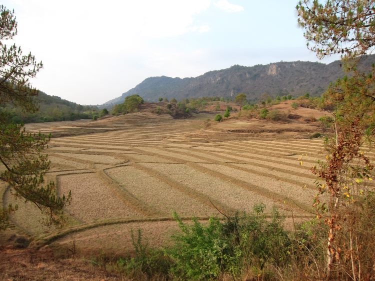 Myanmar, Kalaw to Inle Lake, Kalaw to Inle trek, Walkopedia