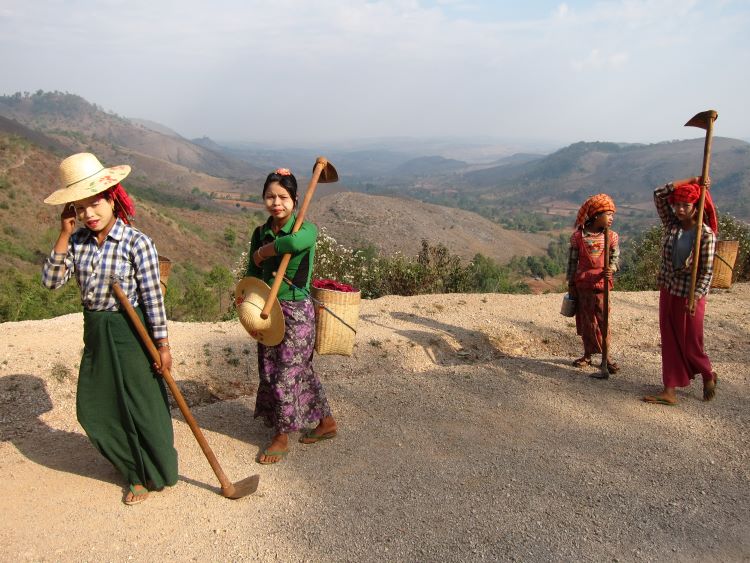 Myanmar, Kalaw to Inle Lake, Kalaw to Inle trek - Off to the fields, Walkopedia