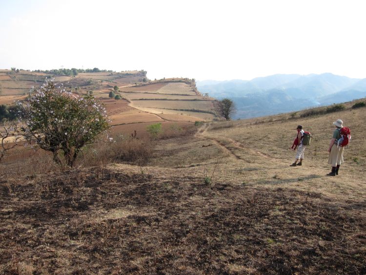 Myanmar, Kalaw to Inle Lake, Kalaw to Inle trek - Plateau Edge, Walkopedia