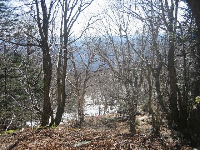 USA North-east, The Devil's Path, Catskill Mountains, The Devil's Path, Walkopedia