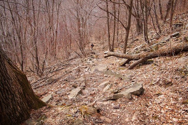 The Devil's Path, Catskill Mountains: The Devil"s Path - © Copyright Flickr user alexhdavis