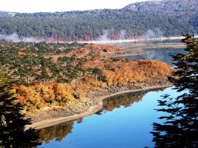 Chile Patagonia: Conguillio NP, Conguillio NP, Conguillio NP, Walkopedia