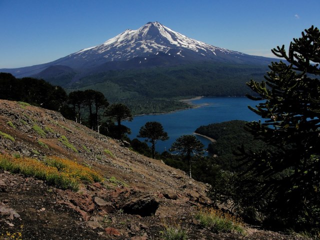 Chile Patagonia: Conguillio NP, Conguillio NP, Conguillio NP, Walkopedia