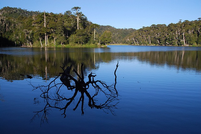 Chile Patagonia: Conguillio NP, Laguna Captren, Laguna Captren, Conguillio NP, Walkopedia