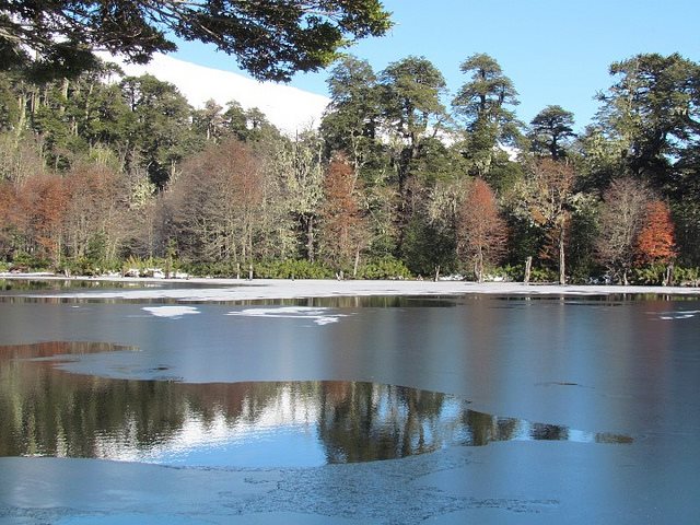 Chile Patagonia: Conguillio NP, Laguna Captren, Laguna Captren, Conguillio NP, Walkopedia