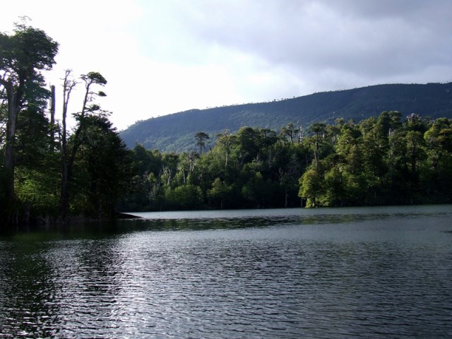 Laguna Captren, Conguillio NP - ©Copyright Flickr user Maria Jose Stitic... Laguna Captren: Laguna Captren, Conguillio NP - ©Copyright Flickr user Maria Jose Stitic...