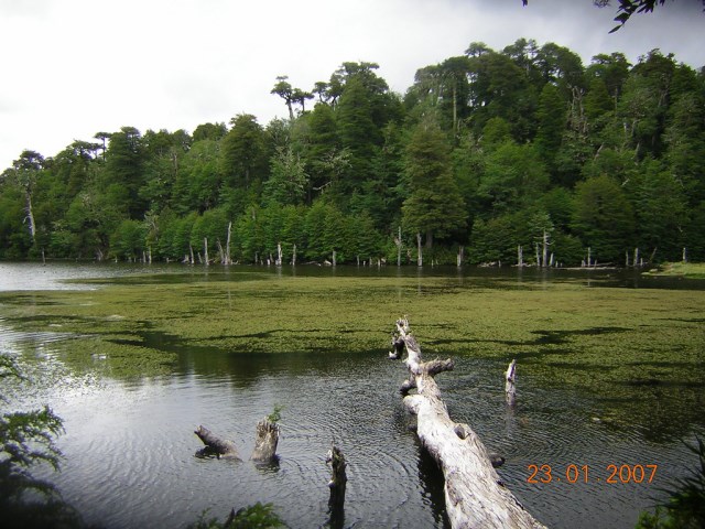 Chile Patagonia: Conguillio NP, Laguna Captren, Laguna Captren, Conguillio NP, Walkopedia