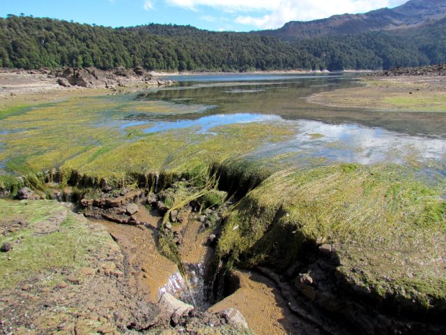 Chile Patagonia: Conguillio NP, Above Laguna Conguillio, Above Laguna Conguillio - drainage hole, Laguna Conguillio, Walkopedia