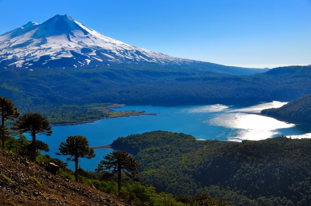 Chile Patagonia: Conguillio NP, Above Laguna Conguillio, Above Laguna Conguillio - © From the Sierra Nevada, Walkopedia