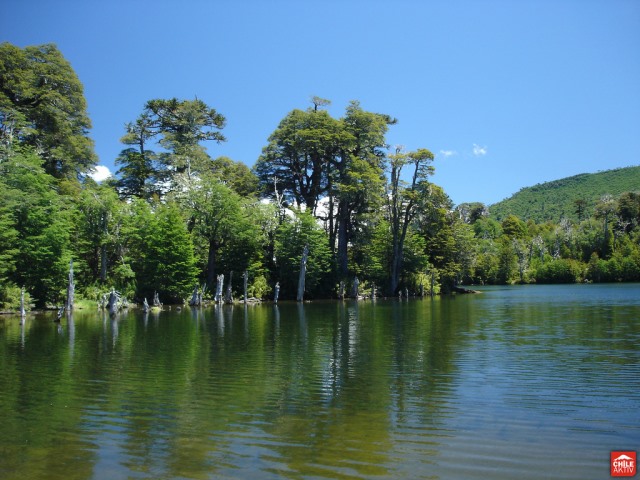 Chile Patagonia: Conguillio NP, Above Laguna Conguillio, Above Laguna Conguillio - Laguna Conguillio, Walkopedia