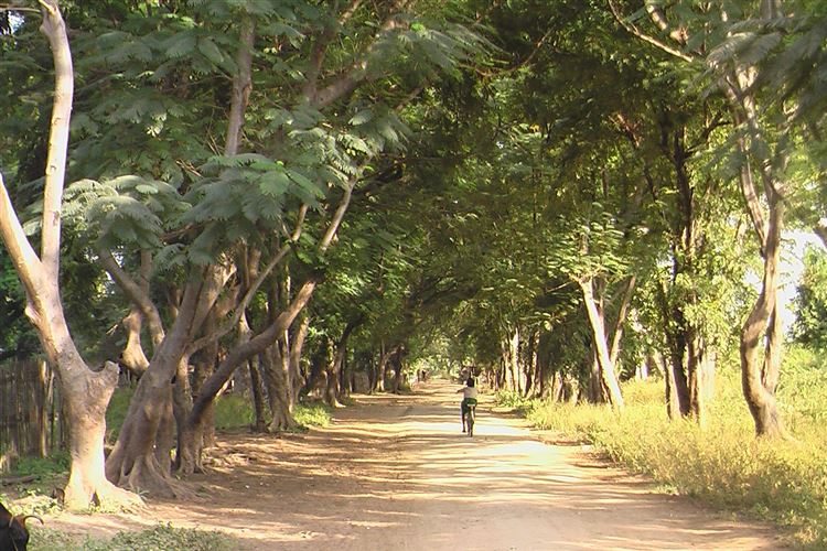 Ava (Inwa), Myanmar I Best world walks, hikes, treks, climbs I ...