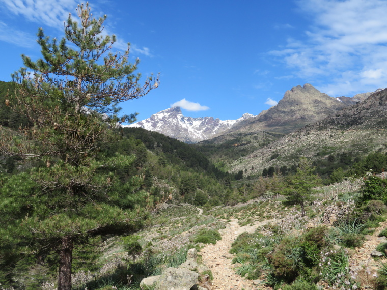 Corsica Walking: Looking Rau de Viru, north towards highest mountains - © William Mackesy