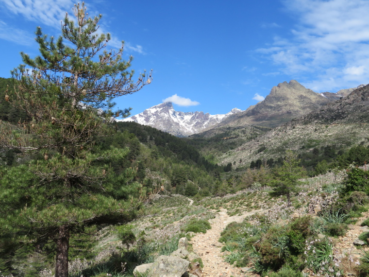 France Corsica, Corsica Walking, Looking Rau de Viru, north towards highest mountains, Walkopedia