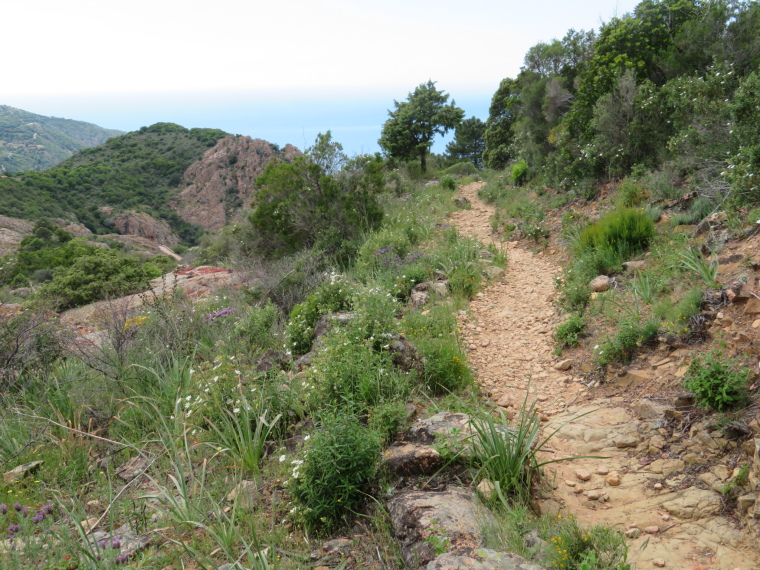 France Corsica, Corsica Walking,  High Calanche plateau, descending towards Piana, Walkopedia