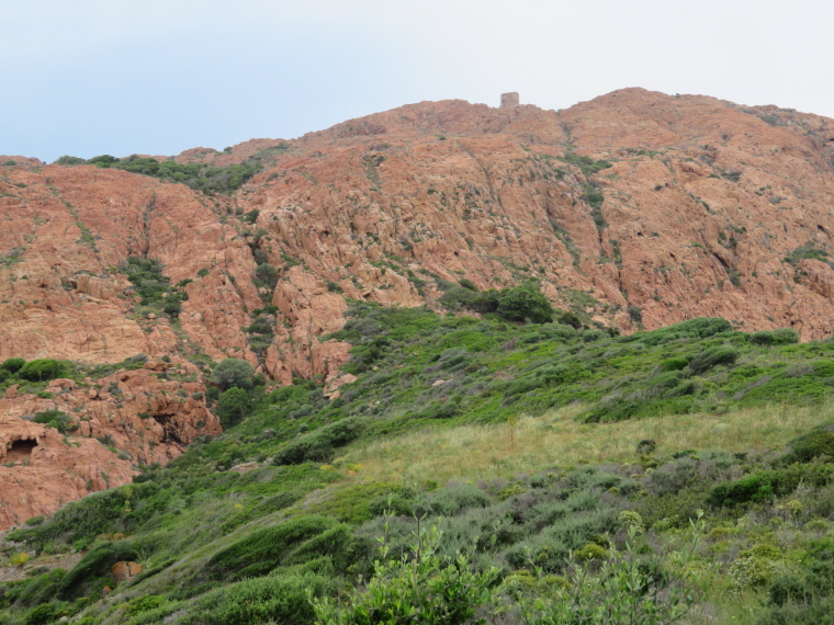 France Corsica, Corsica Walking, Capu Rossu - The great rock at the far end, tower on top, Walkopedia