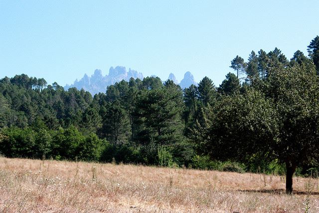 France Corsica: Southern Mountains, Mare-Mare Sud, Mare-Mare Sud, Walkopedia