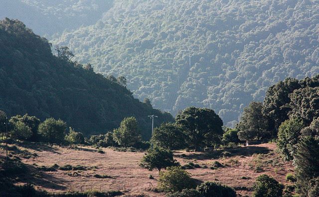 France Corsica: Southern Mountains, Mare-Mare Sud, Mare-Mare Sud, Walkopedia