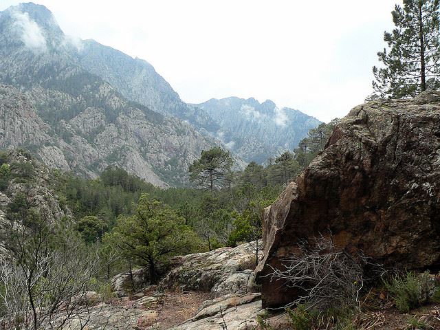 France Corsica: North-west, Mare e Monti, Mare e Monti - Bonifatu Forest, Walkopedia