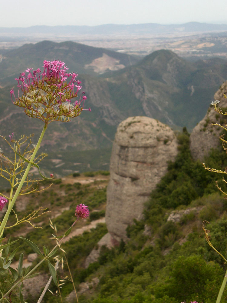 Montserrat - © By Flickr user ginsnob Montserrat: Montserrat - © By Flickr user ginsnob