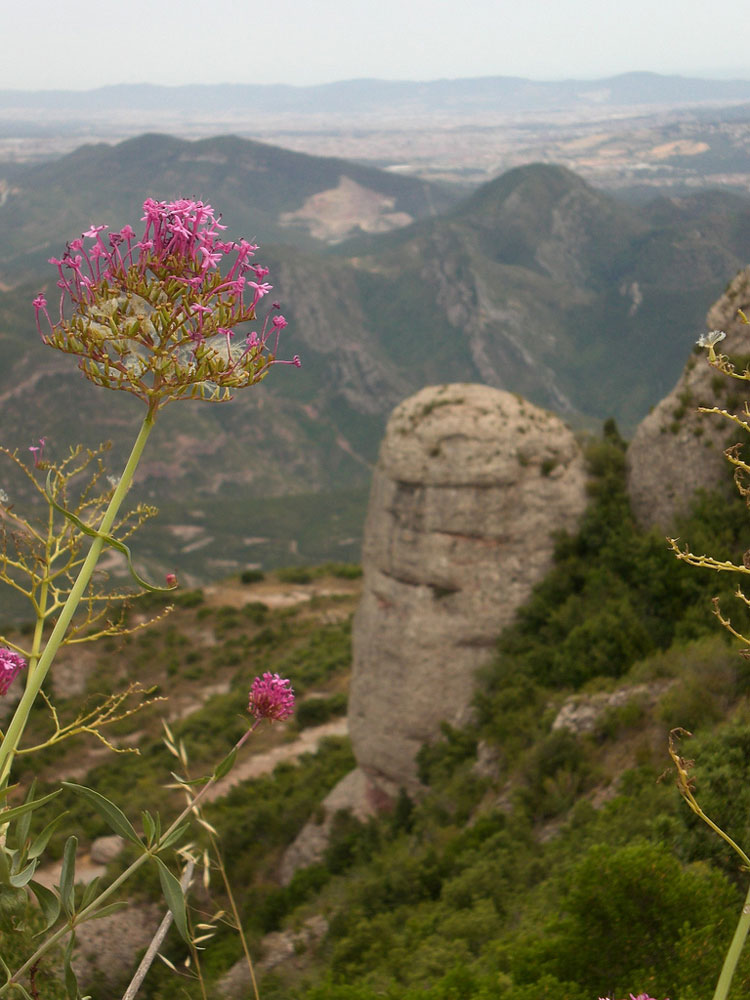 Spain South-east, Montserrat, Montserrat, Walkopedia